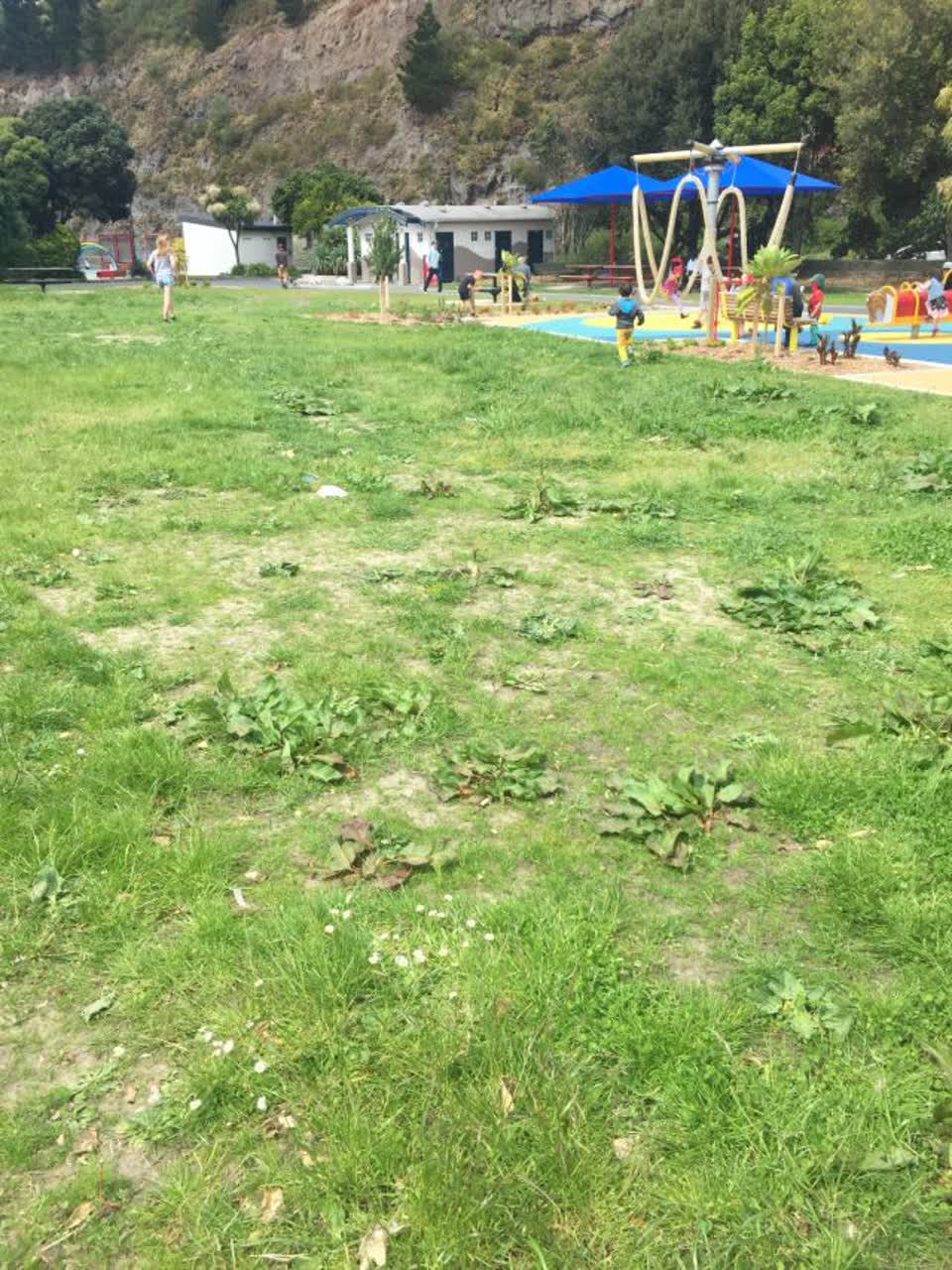 The photograph attached to this parks report