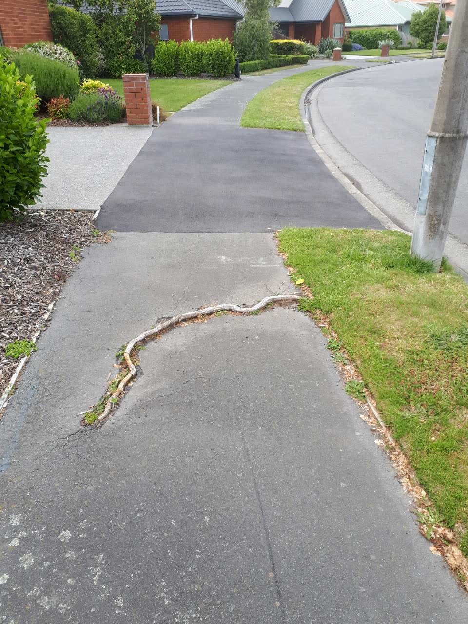 The photograph attached to this roading/streets report