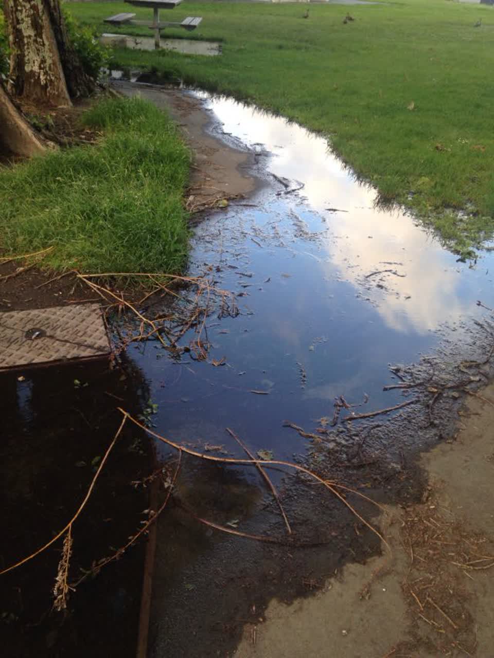 The photograph attached to this wastewater/stormwater report