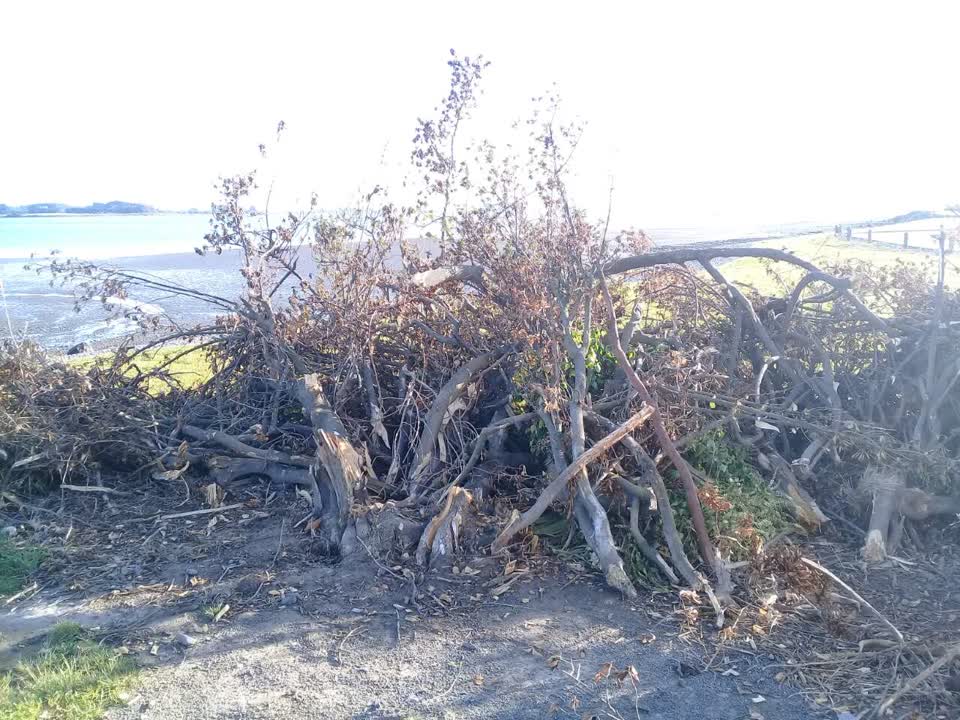 The photograph attached to this parks report