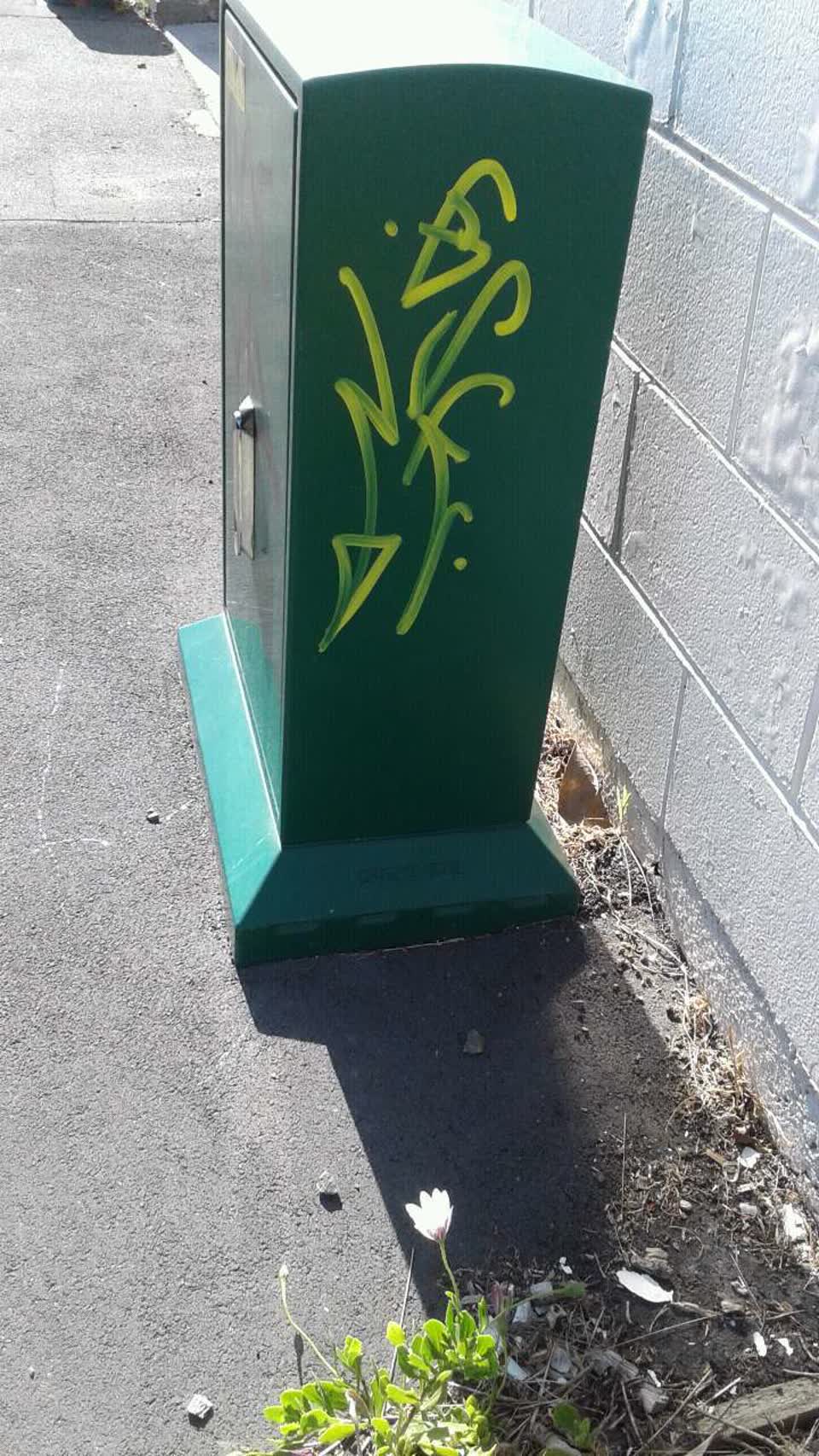 The photograph attached to this graffiti report