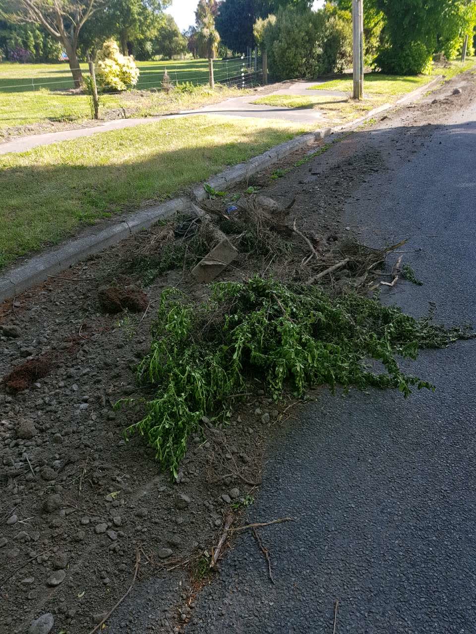 The photograph attached to this roading/streets report
