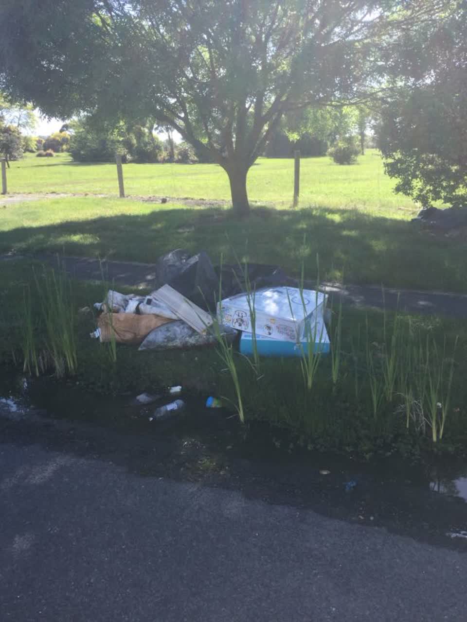 The photograph attached to this rubbish/recycling report