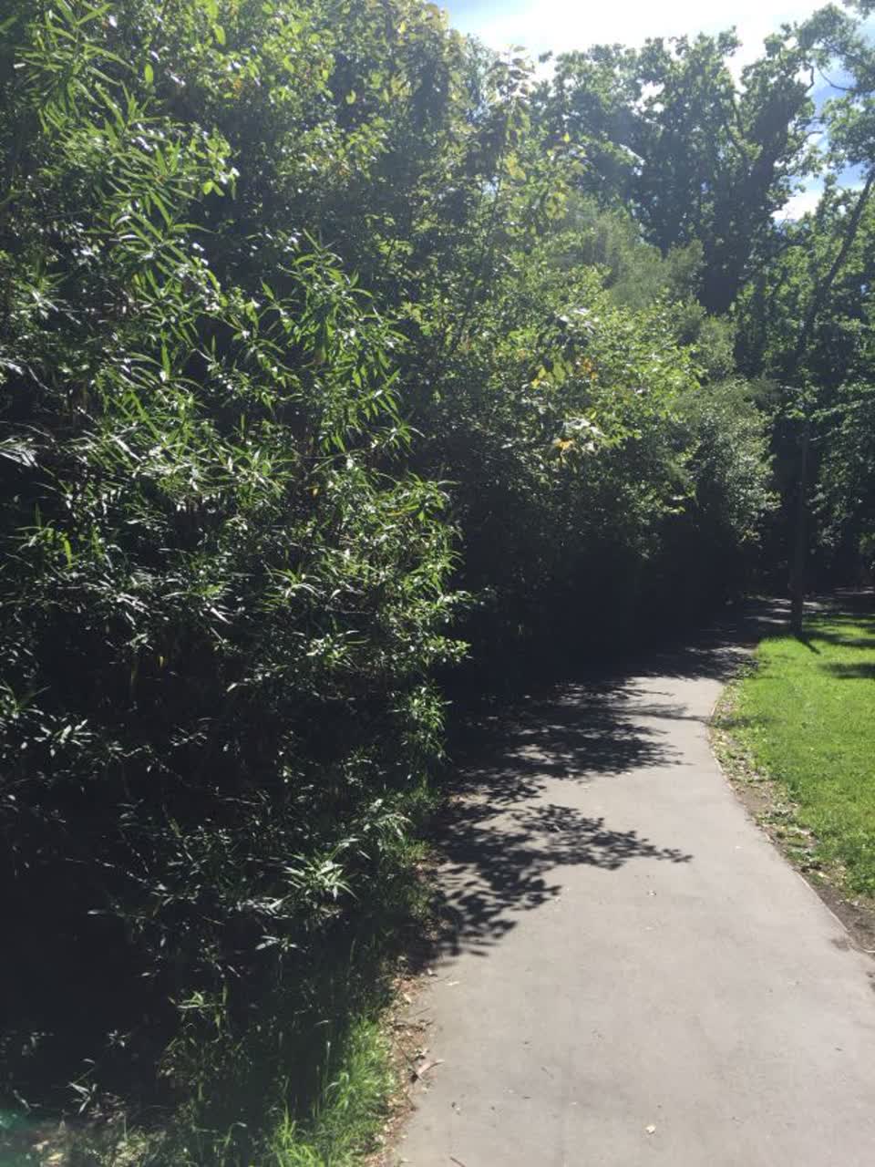 The photograph attached to this parks report