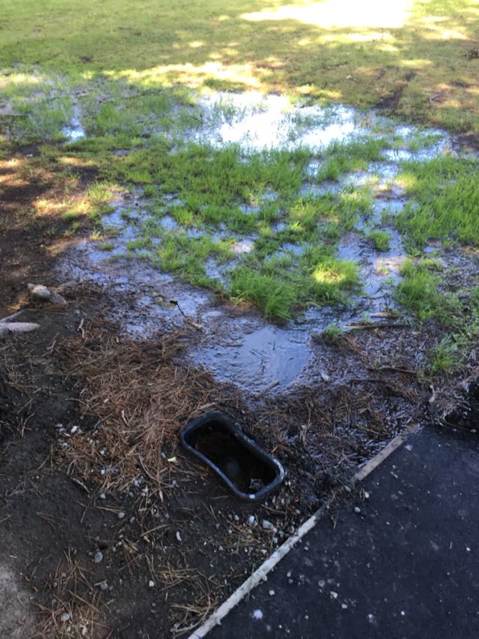 The photograph attached to this flooding report