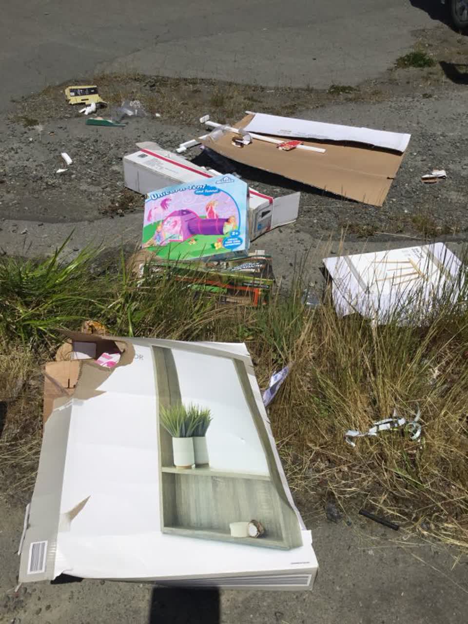 The photograph attached to this rubbish/recycling report