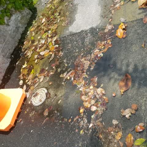 Flooding, a report photo