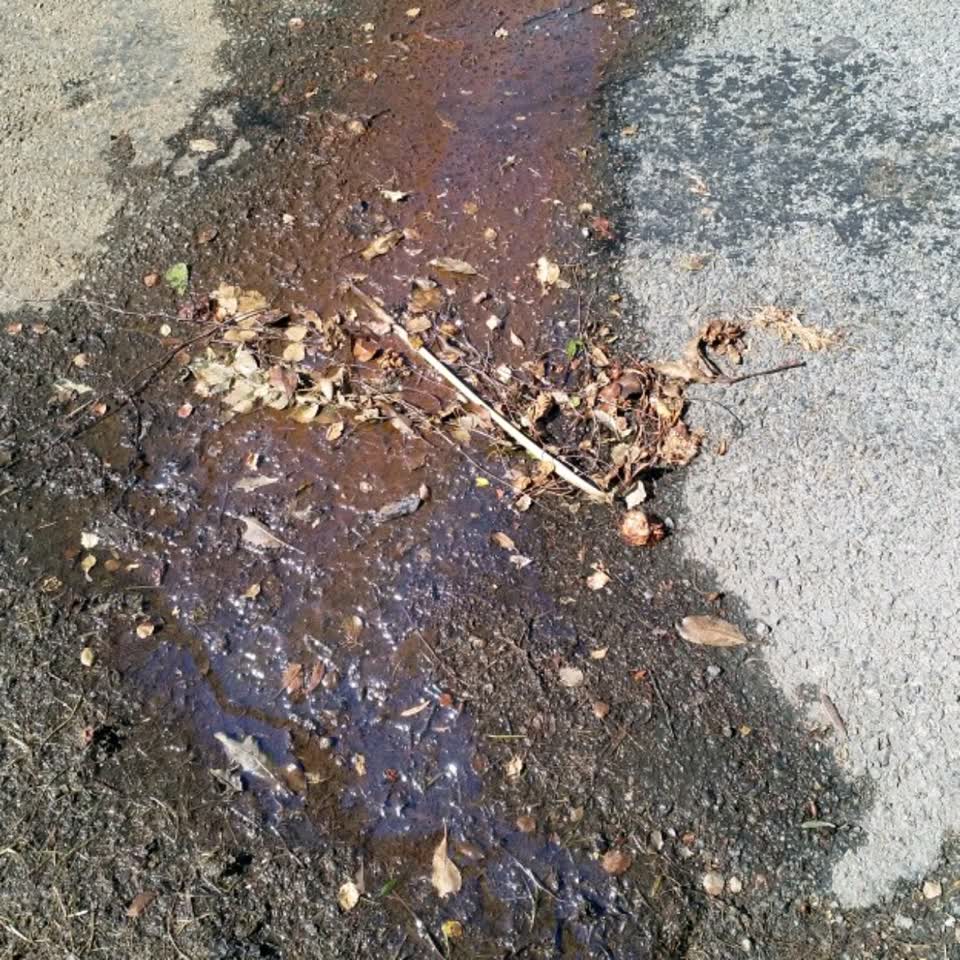 The photograph attached to this water supply report