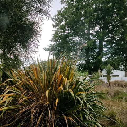 Parks — a report photo