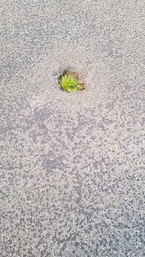 Roading/Streets, a report photo