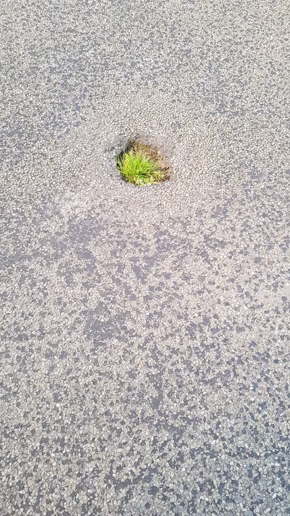The photograph attached to this roading/streets report