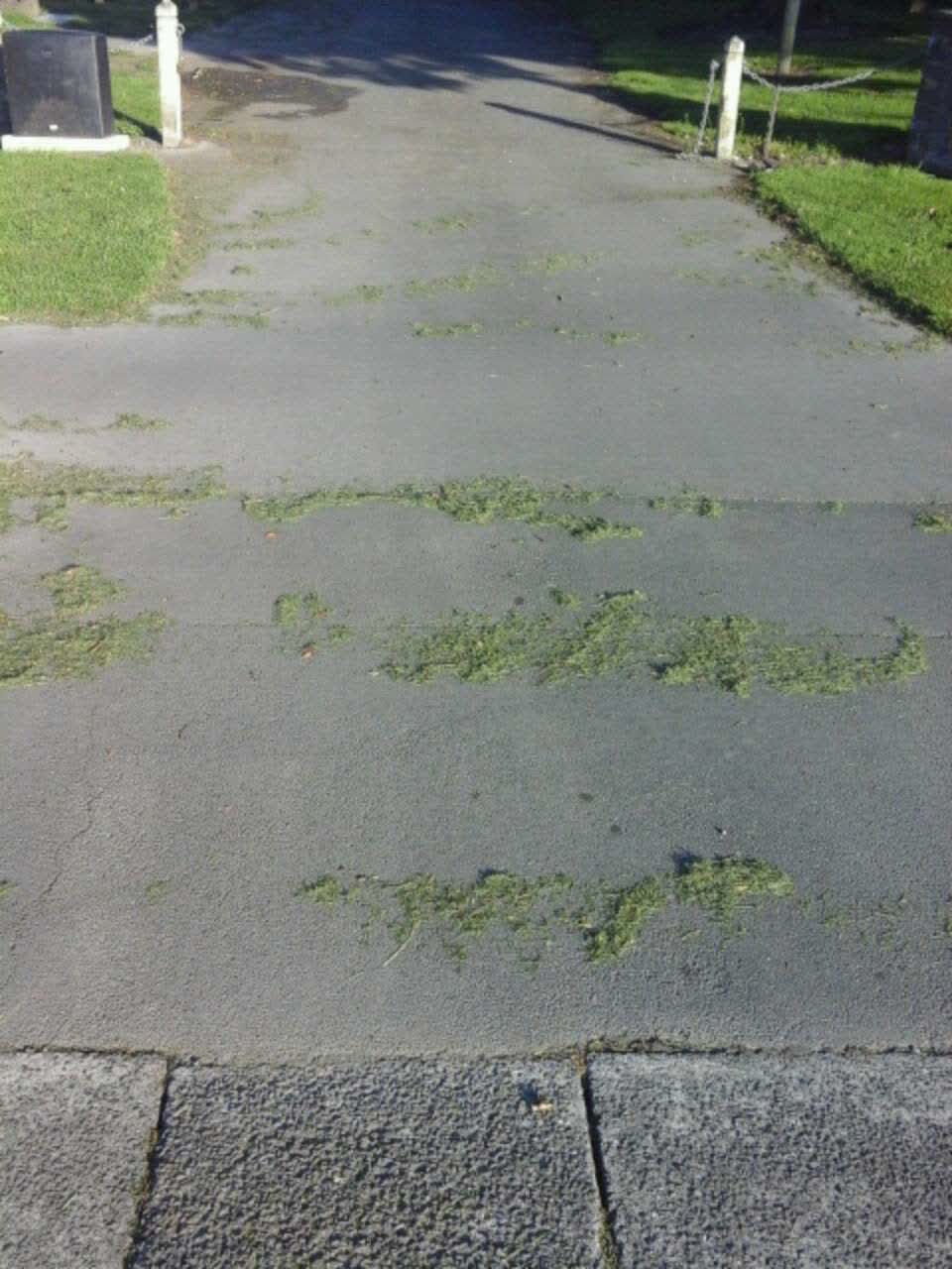 The photograph attached to this parks report