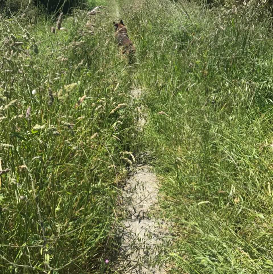 The photograph attached to this parks report