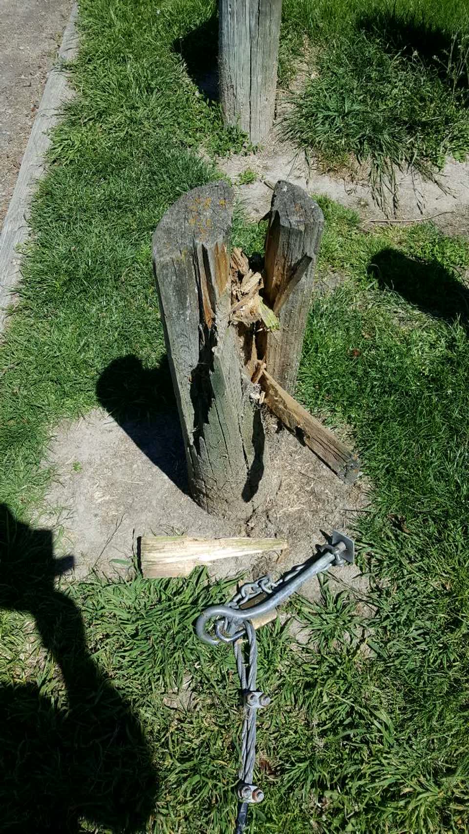 The photograph attached to this parks report