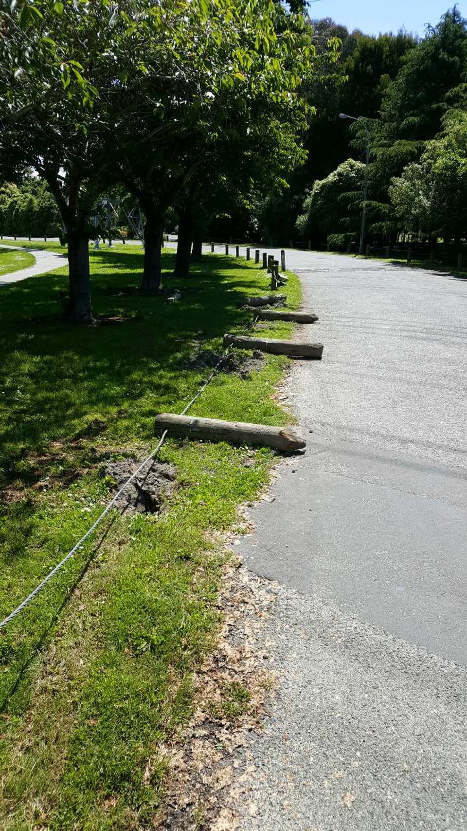 The photograph attached to this parks report