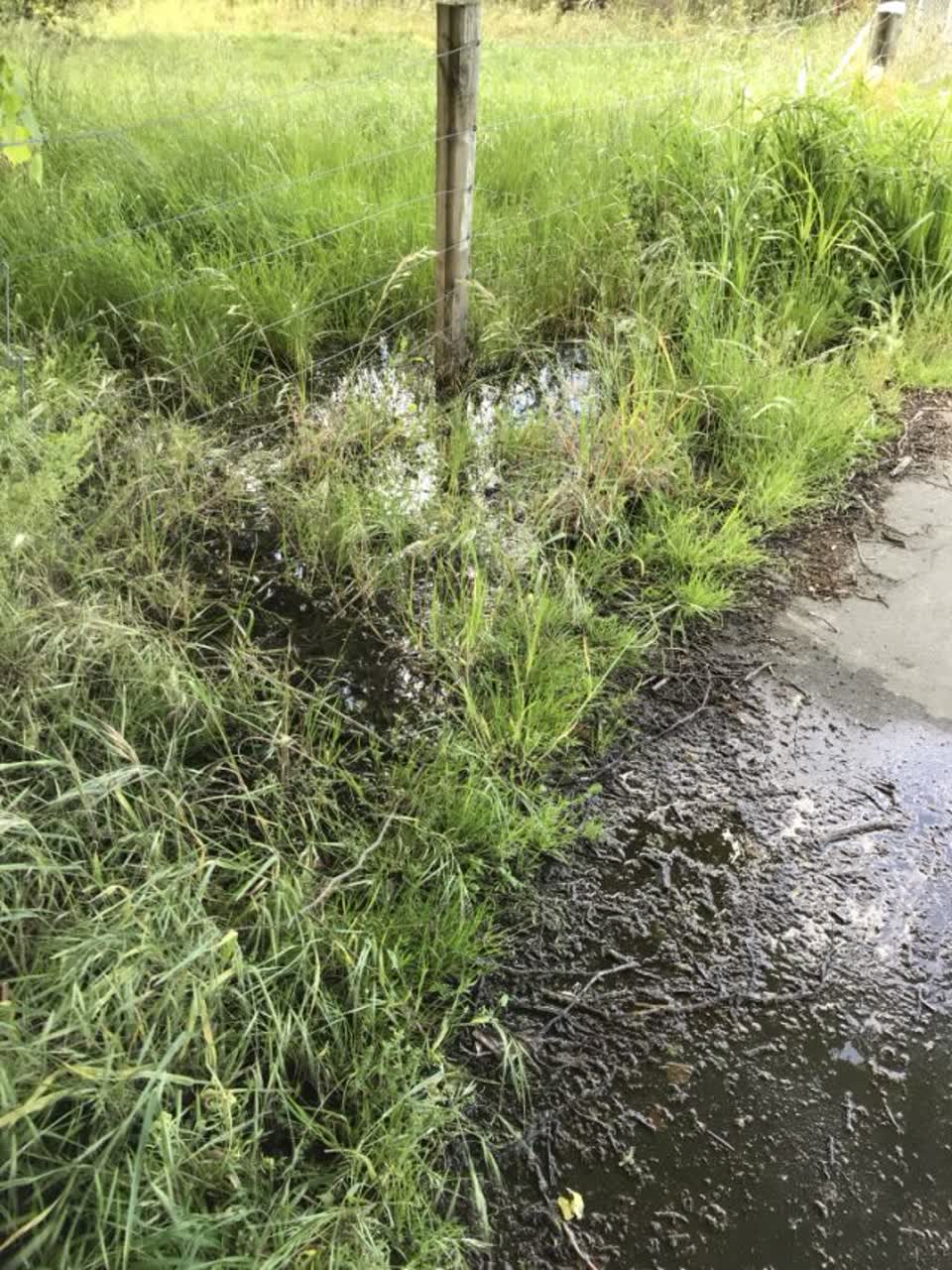 The photograph attached to this flooding report