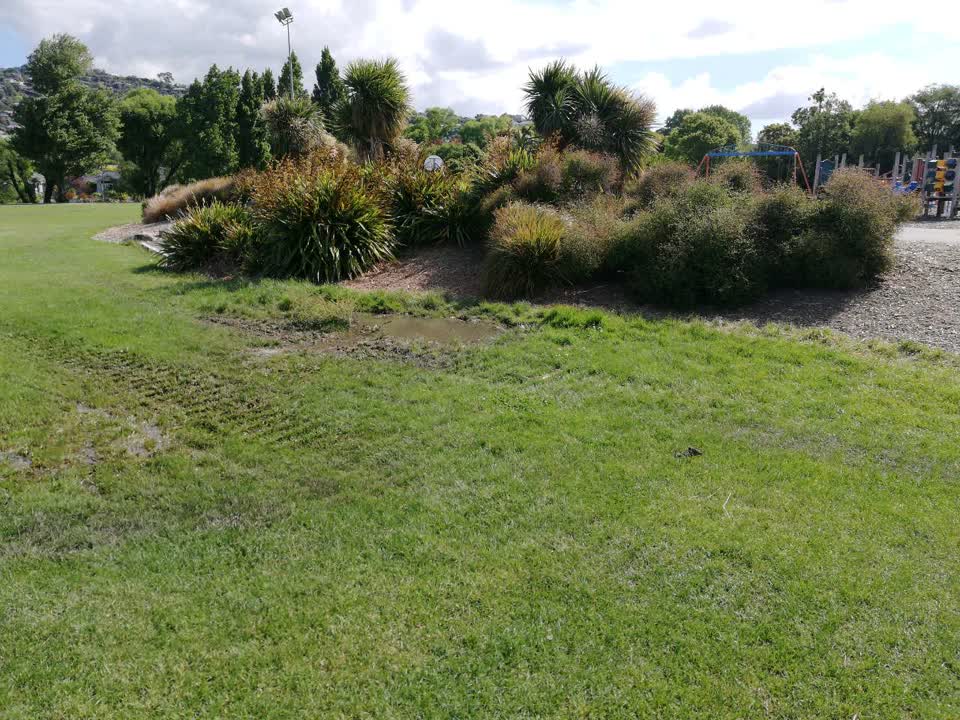The photograph attached to this parks report