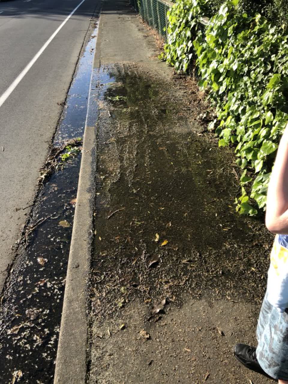 The photograph attached to this roading/streets report