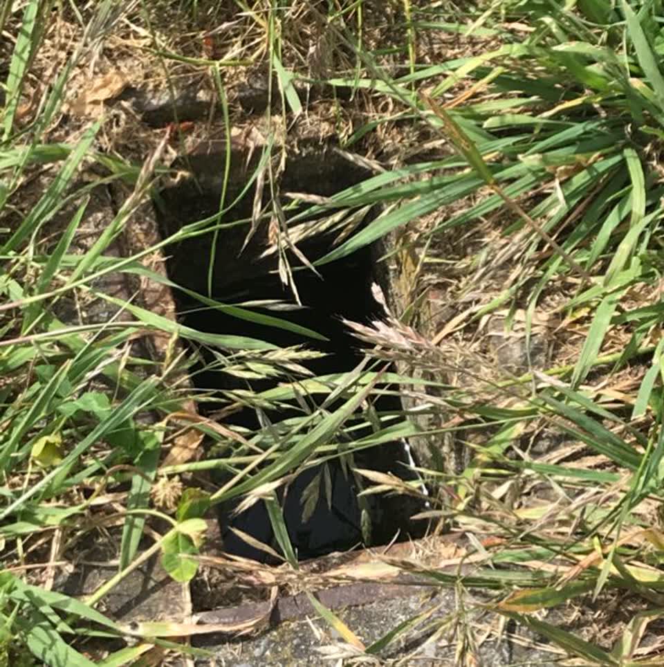 The photograph attached to this water supply report