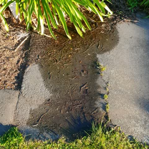 Water Supply, a report photo