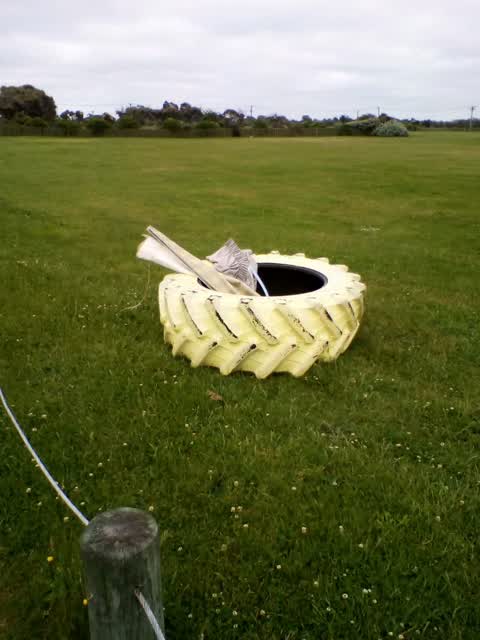 Rubbish/Recycling, a report photo