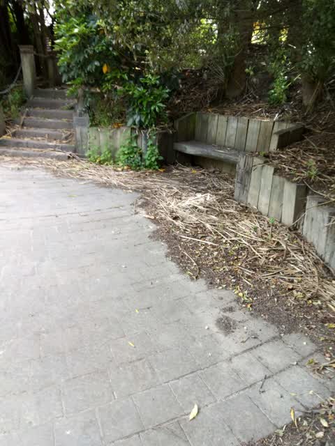 Parks, a report photo