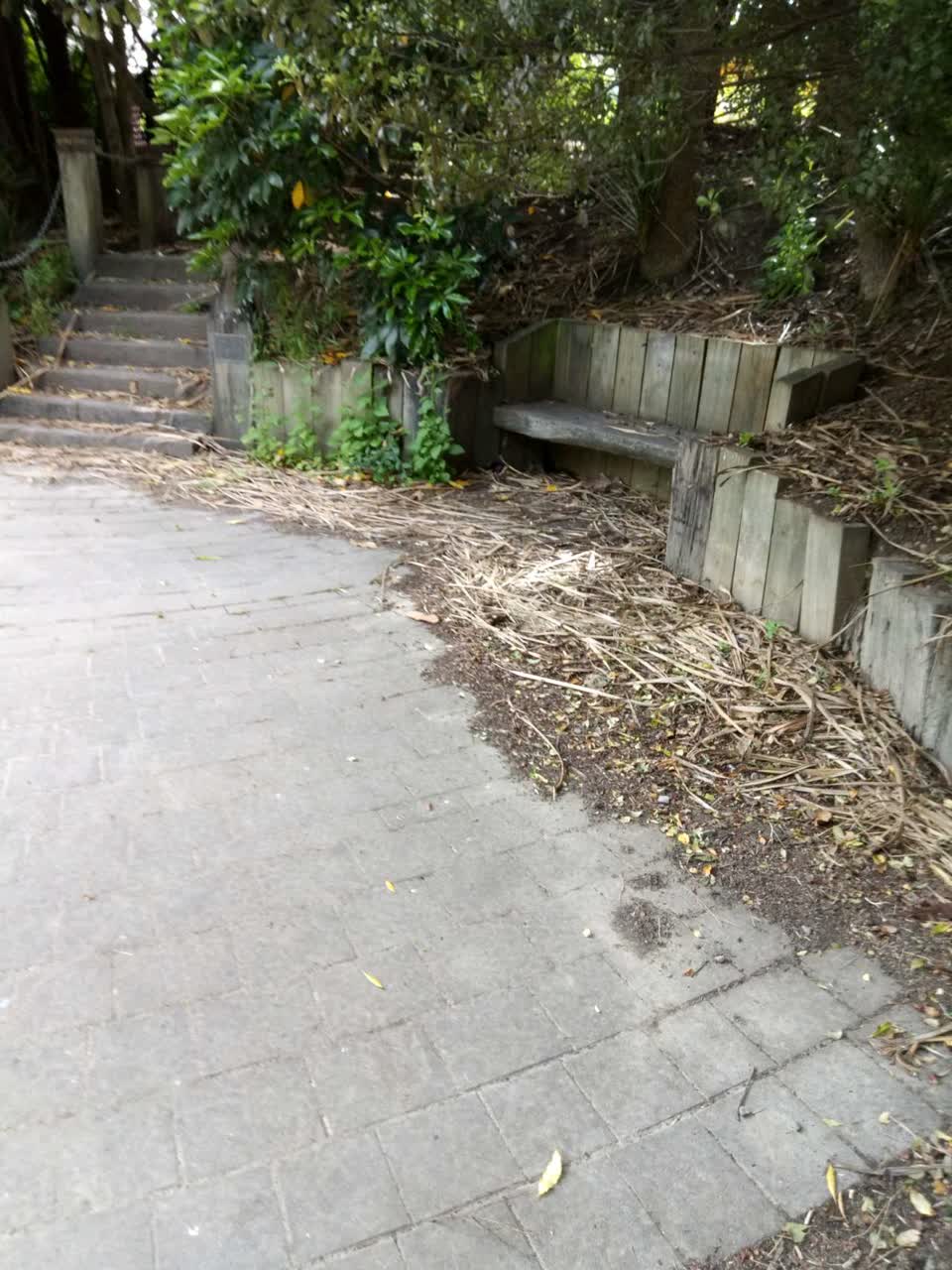 The photograph attached to this parks report