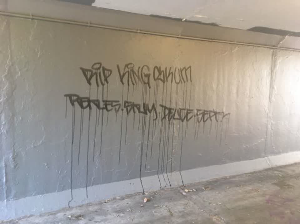 The photograph attached to this graffiti report