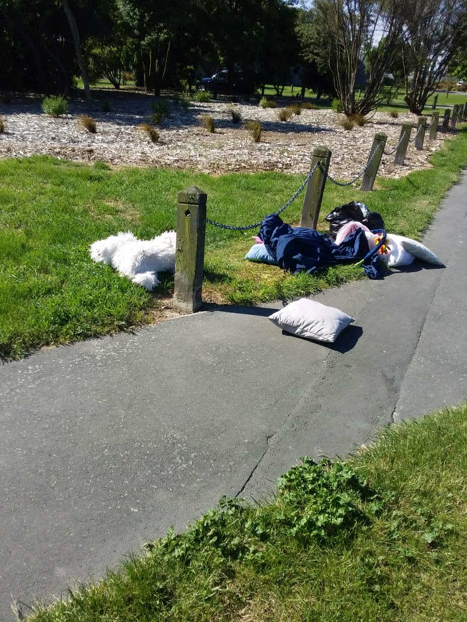 The photograph attached to this rubbish/recycling report