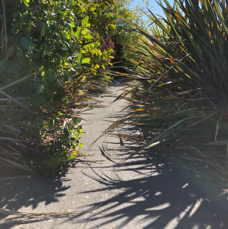 The photograph attached to this parks report