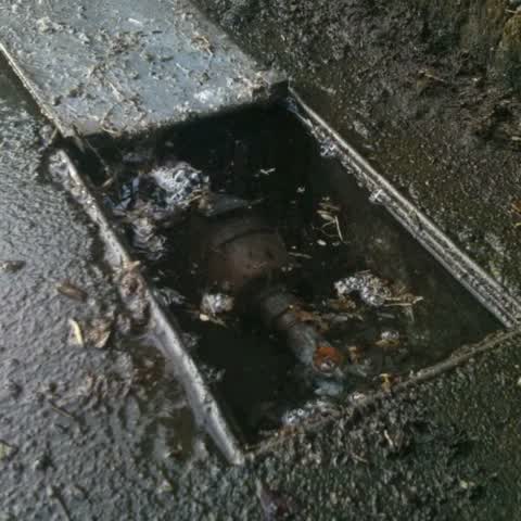 Water Supply, a report photo