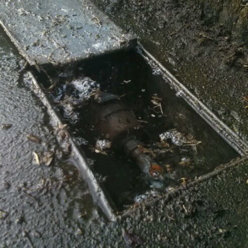 The photograph attached to this water supply report
