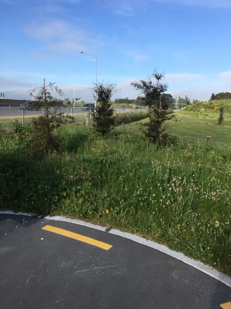 The photograph attached to this parks report