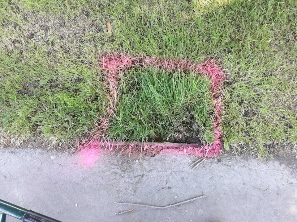 The photograph attached to this parks report