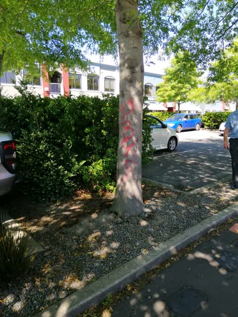 Graffiti, a report photo