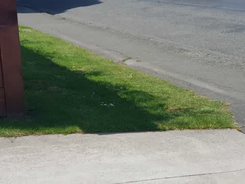 Roading/Streets, a report photo