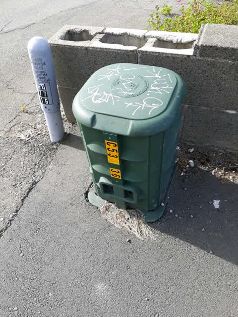 Graffiti, a report photo