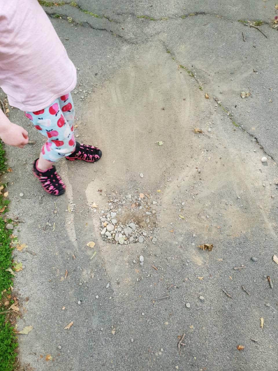 The photograph attached to this roading/streets report