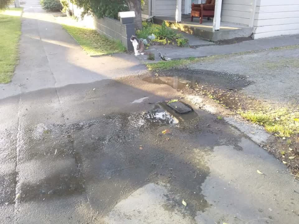 The photograph attached to this water supply report