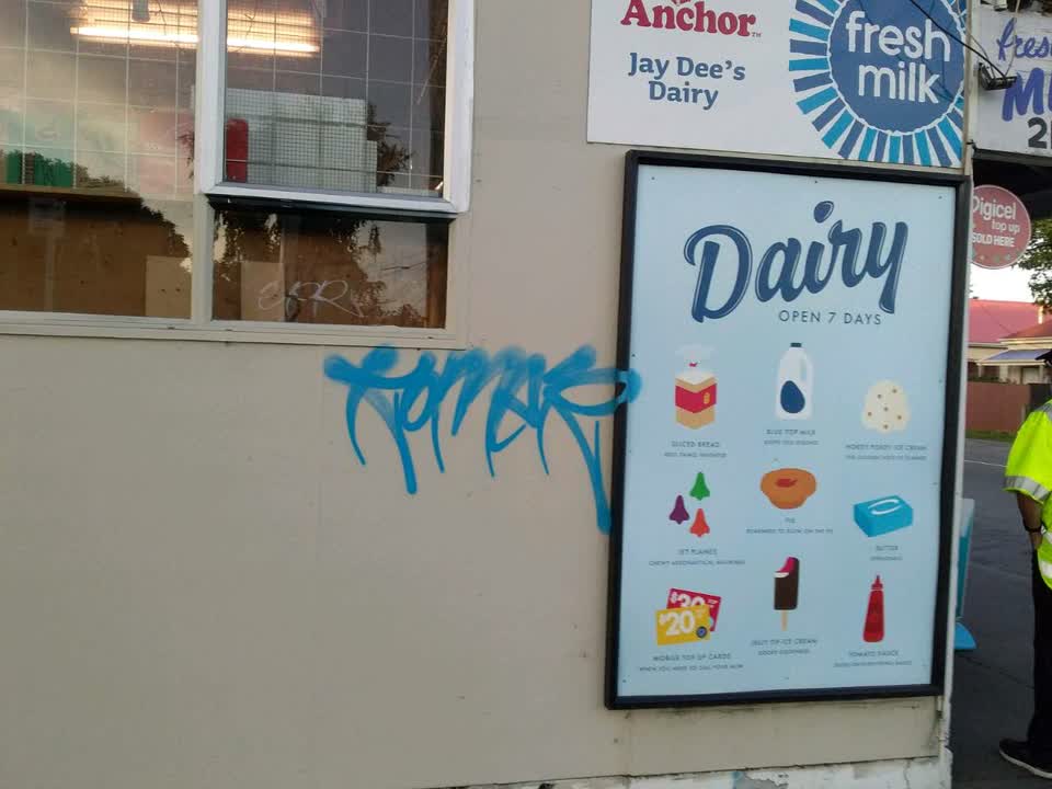 The photograph attached to this graffiti report