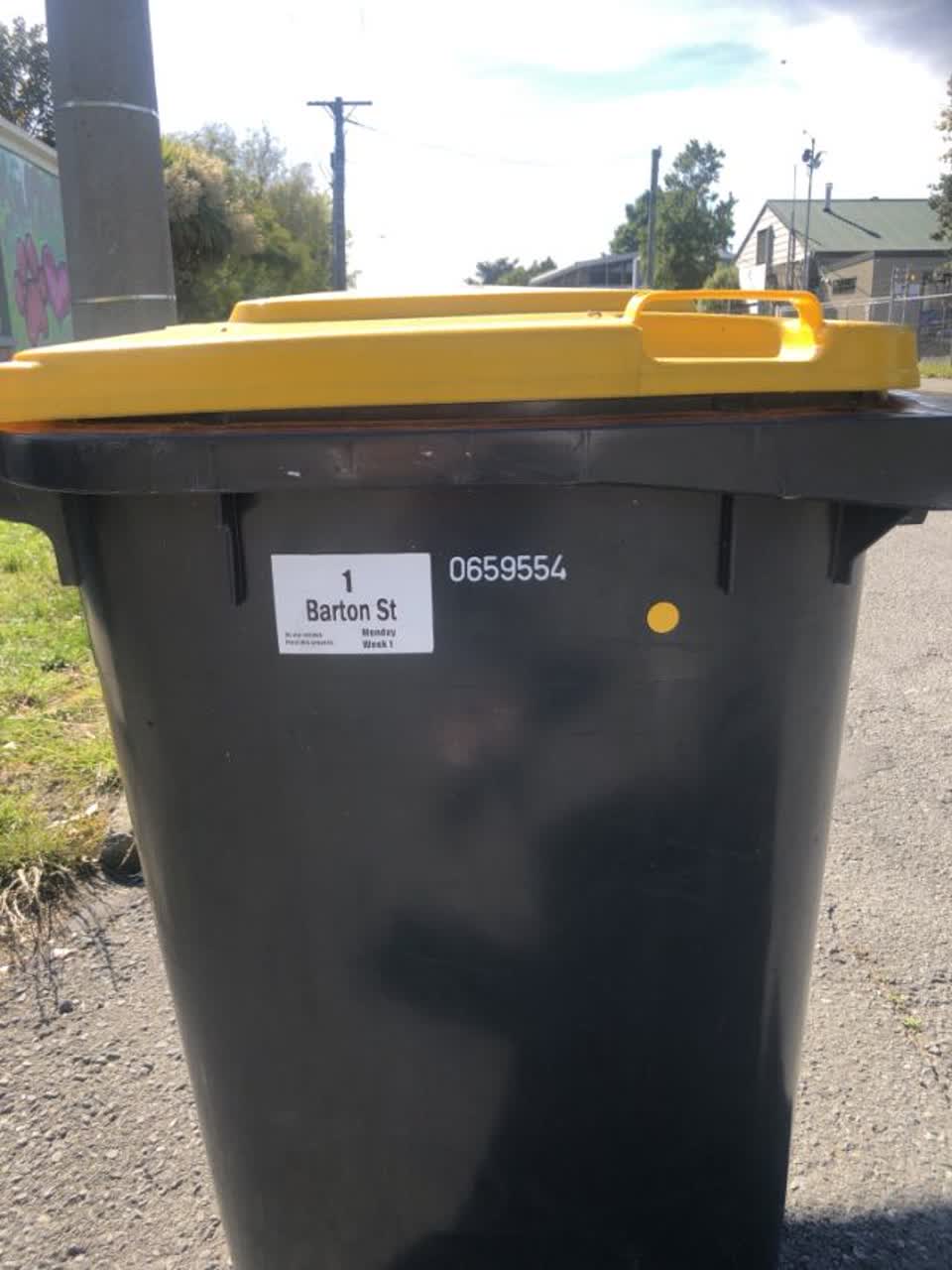 The photograph attached to this rubbish/recycling report