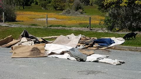 Parks, a report photo