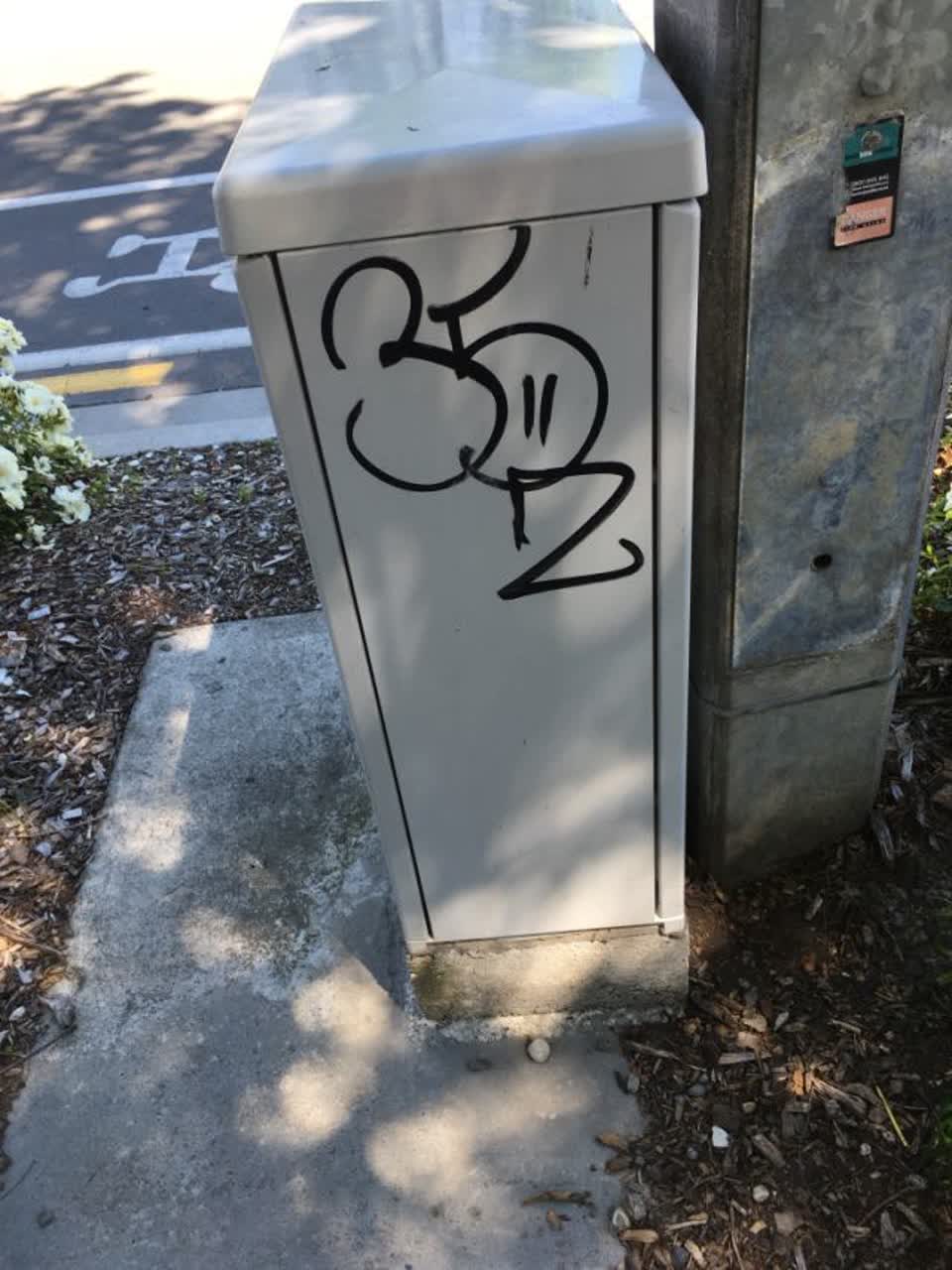 The photograph attached to this graffiti report