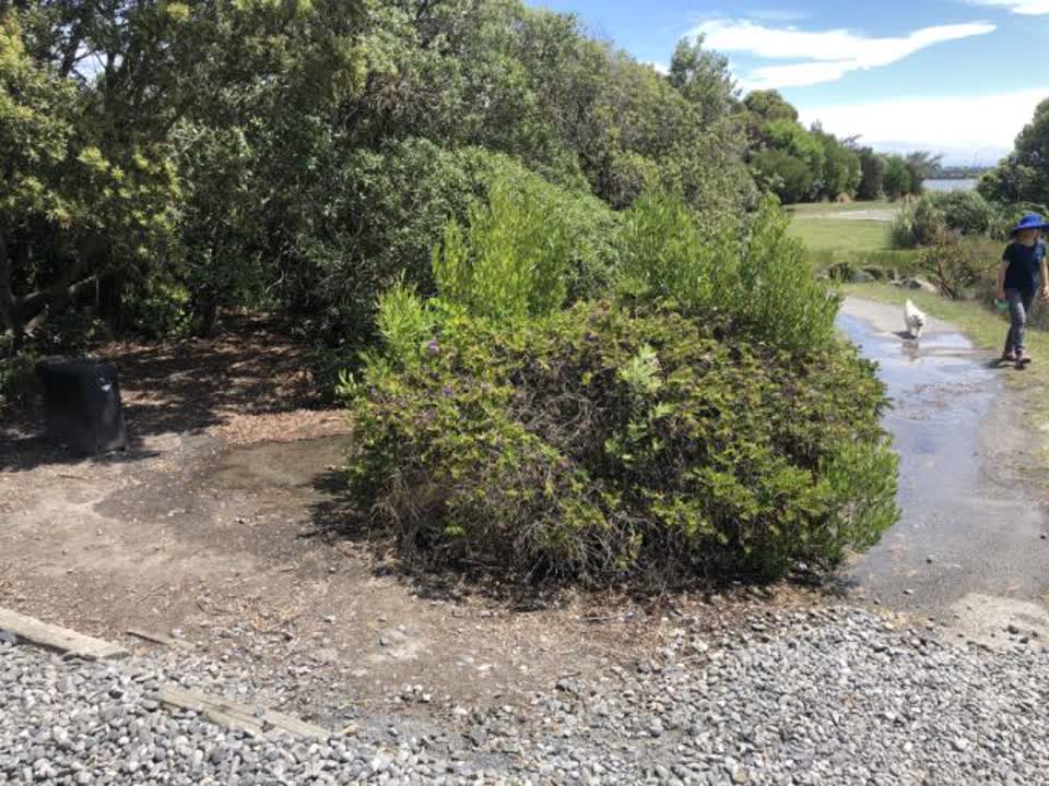 The photograph attached to this flooding report