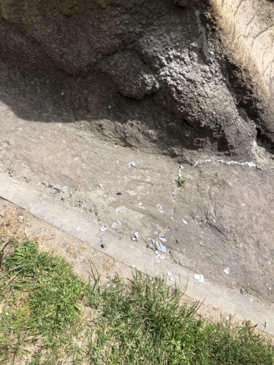 The photograph attached to this parks report