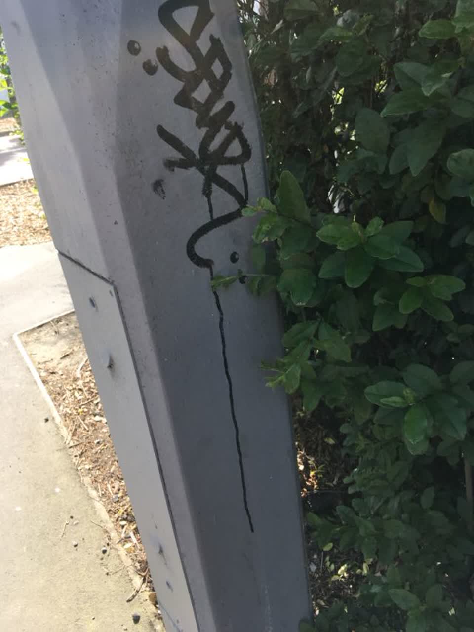 The photograph attached to this graffiti report