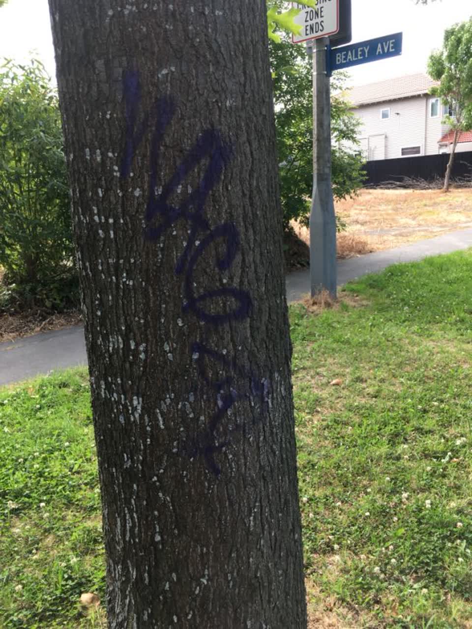 The photograph attached to this graffiti report