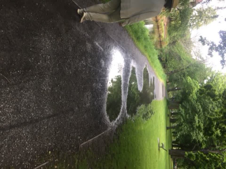 The photograph attached to this parks report