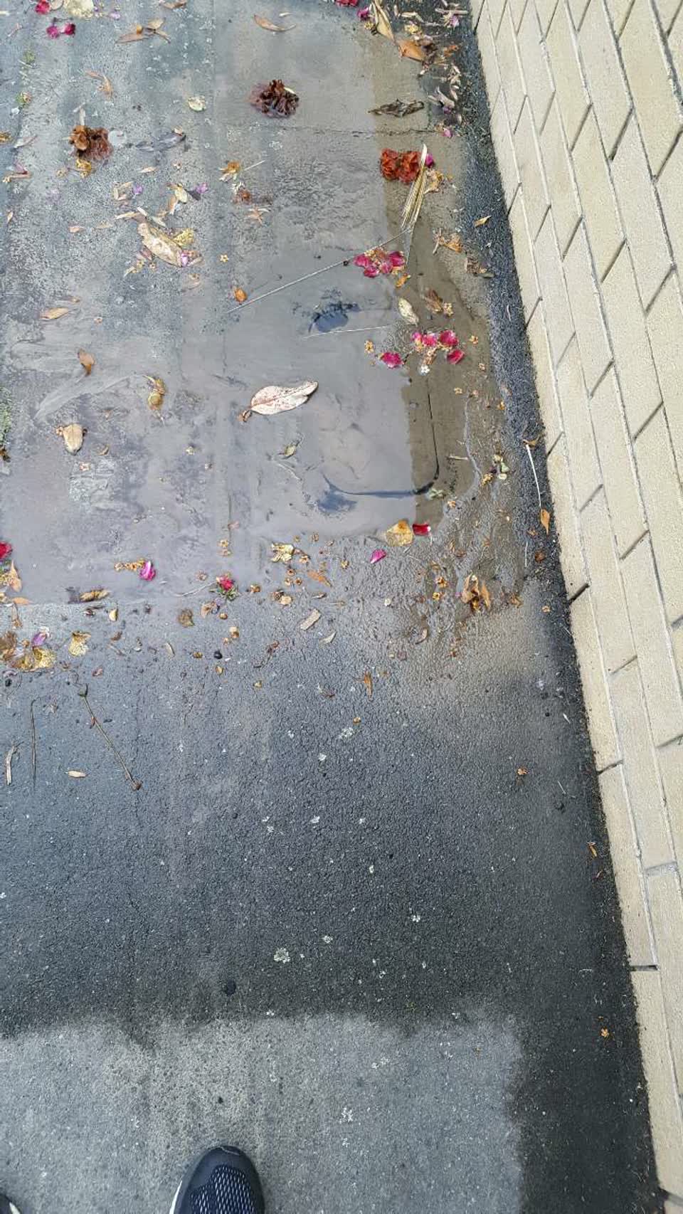 The photograph attached to this water supply report