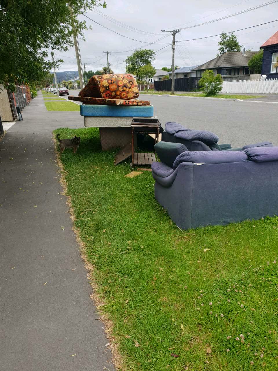 The photograph attached to this rubbish/recycling report
